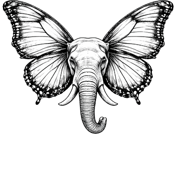 Bhazar Platform